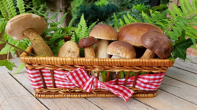 Салат с белыми грибами и брусникой «Королевский»